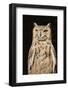 Spotted Eagle Owl-Hal Beral-Framed Photographic Print