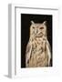 Spotted Eagle Owl-Hal Beral-Framed Photographic Print