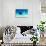 Spotted Eagle Ray-AndamanSE-Stretched Canvas displayed on a wall