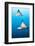 Spotted Eagle Rays-Michele Westmorland-Framed Photographic Print