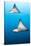 Spotted Eagle Rays-Michele Westmorland-Stretched Canvas