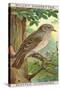 Spotted Flycatcher-null-Stretched Canvas