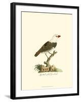 Spotted Grosbeak-null-Framed Art Print