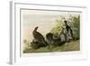 Spotted Grouse-null-Framed Giclee Print