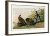 Spotted Grouse-null-Framed Giclee Print