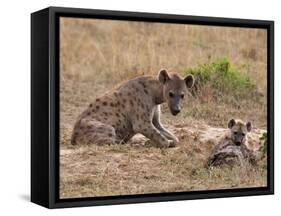 Spotted Hyaena (Crocuta Crocuta), Masai Mara, Kenya, East Africa, Africa-Sergio Pitamitz-Framed Stretched Canvas