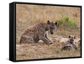 Spotted Hyaena (Crocuta Crocuta), Masai Mara, Kenya, East Africa, Africa-Sergio Pitamitz-Framed Stretched Canvas