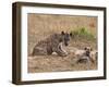 Spotted Hyaena (Crocuta Crocuta), Masai Mara, Kenya, East Africa, Africa-Sergio Pitamitz-Framed Photographic Print