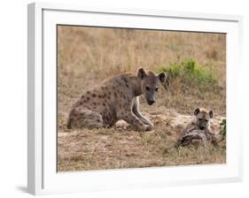 Spotted Hyaena (Crocuta Crocuta), Masai Mara, Kenya, East Africa, Africa-Sergio Pitamitz-Framed Photographic Print