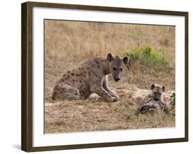 Spotted Hyaena (Crocuta Crocuta), Masai Mara, Kenya, East Africa, Africa-Sergio Pitamitz-Framed Photographic Print