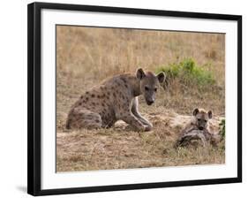 Spotted Hyaena (Crocuta Crocuta), Masai Mara, Kenya, East Africa, Africa-Sergio Pitamitz-Framed Photographic Print