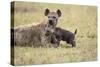 Spotted Hyena and Pup-Paul Souders-Stretched Canvas