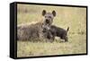 Spotted Hyena and Pup-Paul Souders-Framed Stretched Canvas