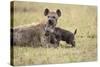 Spotted Hyena and Pup-Paul Souders-Stretched Canvas