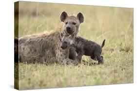 Spotted Hyena and Pup-Paul Souders-Stretched Canvas