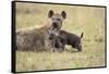 Spotted Hyena and Pup-Paul Souders-Framed Stretched Canvas