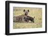 Spotted Hyena and Pup-Paul Souders-Framed Premium Photographic Print