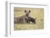 Spotted Hyena and Pup-Paul Souders-Framed Premium Photographic Print