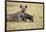 Spotted Hyena and Pup-Paul Souders-Framed Photographic Print