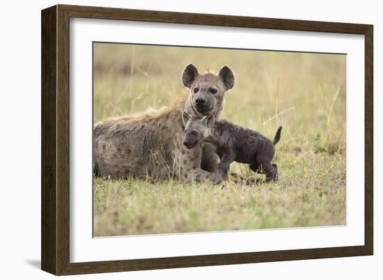 Spotted Hyena and Pup-Paul Souders-Framed Photographic Print