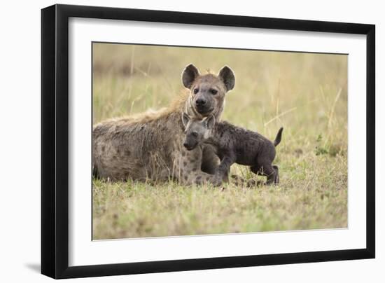 Spotted Hyena and Pup-Paul Souders-Framed Photographic Print