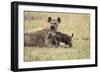 Spotted Hyena and Pup-Paul Souders-Framed Photographic Print