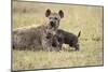 Spotted Hyena and Pup-Paul Souders-Mounted Photographic Print