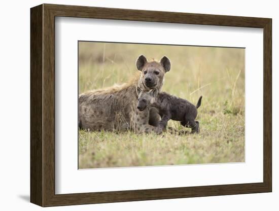 Spotted Hyena and Pup-Paul Souders-Framed Photographic Print