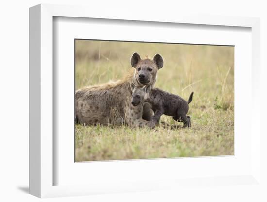 Spotted Hyena and Pup-Paul Souders-Framed Photographic Print