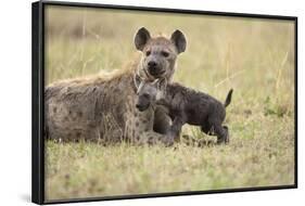 Spotted Hyena and Pup-Paul Souders-Framed Photographic Print
