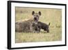 Spotted Hyena and Pup-Paul Souders-Framed Photographic Print