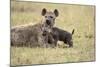 Spotted Hyena and Pup-Paul Souders-Mounted Photographic Print