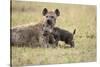 Spotted Hyena and Pup-Paul Souders-Stretched Canvas