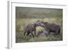 Spotted Hyena (Crocuta Crocuta) at a Blue Wildebeest (Brindled Gnu) Carcass-James Hager-Framed Photographic Print