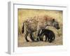 Spotted Hyena, Crocuta Crocuta, Cub Greeting Adult, Kruger National Park, South Africa, Africa-Ann & Steve Toon-Framed Photographic Print