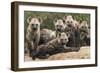 Spotted hyena (Crocuta crocuta), cubs together by den, Masai-Mara Game Reserve, Kenya-Denis-Huot-Framed Photographic Print