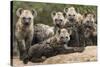 Spotted hyena (Crocuta crocuta), cubs together by den, Masai-Mara Game Reserve, Kenya-Denis-Huot-Stretched Canvas