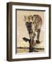 Spotted Hyena, Crocuta Crocuta, Kgalagadi Transfrontier Park, South Africa, Africa-Ann & Steve Toon-Framed Premium Photographic Print