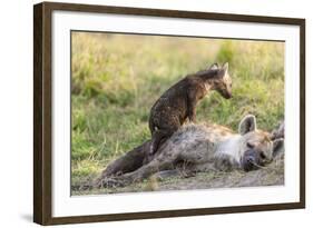 Spotted Hyena Family with Cubs, Maasai Mara, Kenya-Martin Zwick-Framed Photographic Print