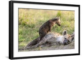 Spotted Hyena Family with Cubs, Maasai Mara, Kenya-Martin Zwick-Framed Photographic Print