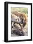 Spotted Hyena, Maasai Mara, Kenya-Martin Zwick-Framed Photographic Print