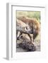 Spotted Hyena, Maasai Mara, Kenya-Martin Zwick-Framed Photographic Print