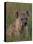 Spotted Hyena, Mombo Area, Chief's Island, Okavango Delta, Botswana-Pete Oxford-Stretched Canvas