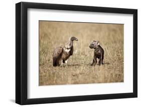 Spotted Hyena Pup and Whitebacked Vulture-Paul Souders-Framed Premium Photographic Print