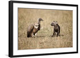 Spotted Hyena Pup and Whitebacked Vulture-Paul Souders-Framed Photographic Print