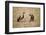 Spotted Hyena Pup and Whitebacked Vulture-Paul Souders-Framed Photographic Print