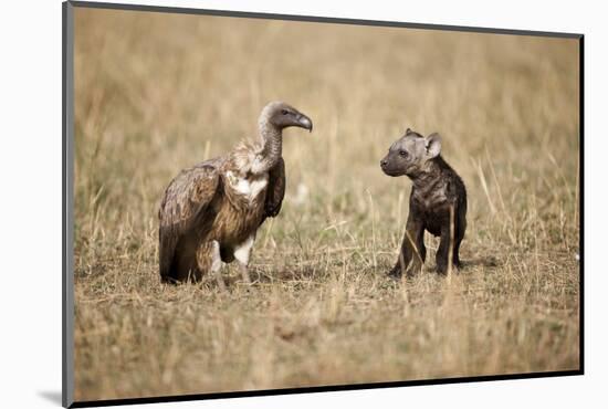 Spotted Hyena Pup and Whitebacked Vulture-Paul Souders-Mounted Photographic Print