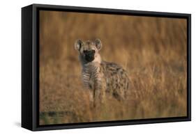 Spotted Hyena Pup-null-Framed Stretched Canvas