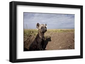 Spotted Hyena Pup-null-Framed Premium Photographic Print