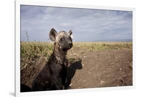 Spotted Hyena Pup-null-Framed Photographic Print